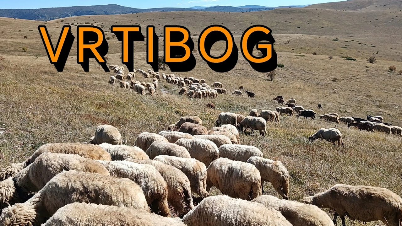 Visoravan Vrtibog - iz sela Dojkinci 