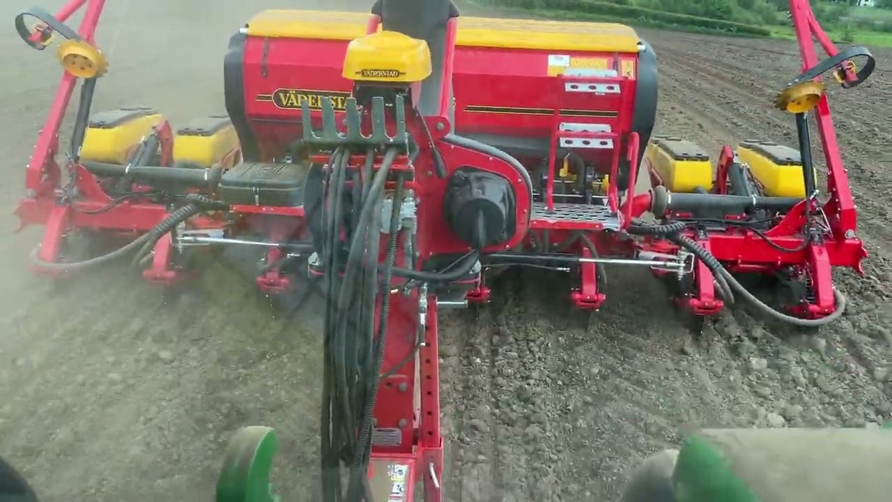 Drilling Maize 2024