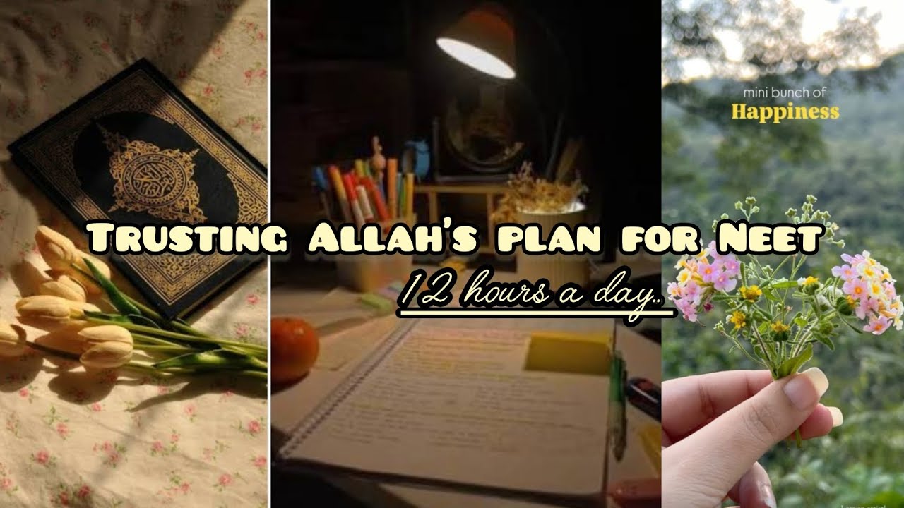 My current study routine 📚| When motivation fails , Tawakkul Wins.✨🌸