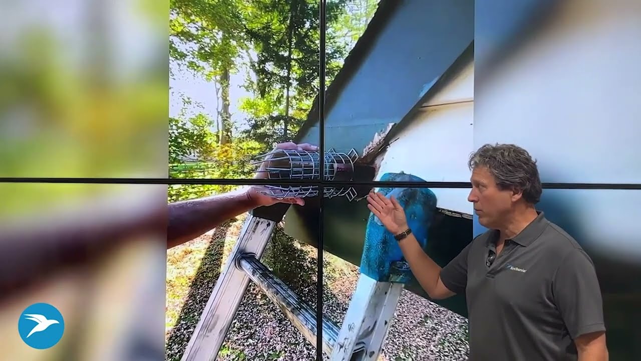 Solving Squirrels on Houses: Using Rat Out Gel & ProCone Squirrel