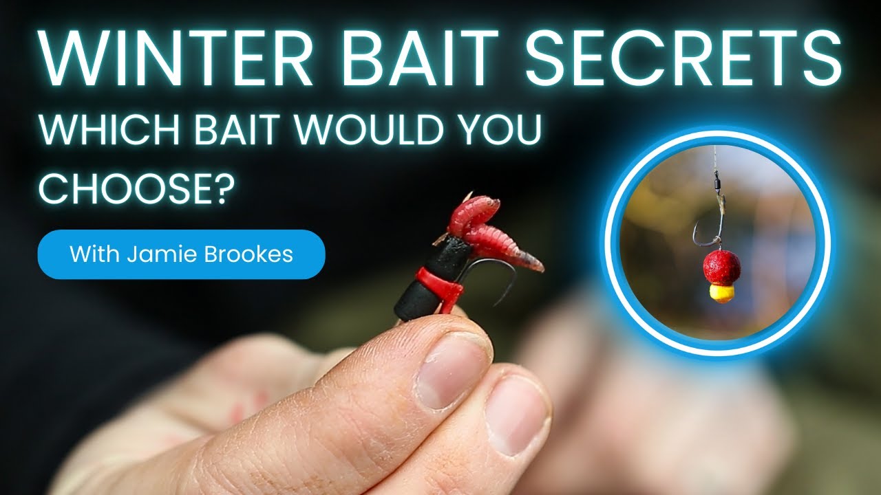 COLD WATER CARPING | SHORT SESSIONS, BIG RESULTS: Jamie Brookes – Broom Big pit -  January sessions