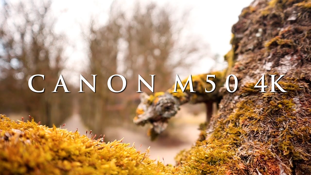 CINEMATIC GARDEN CANON EOS M50 IN 4K