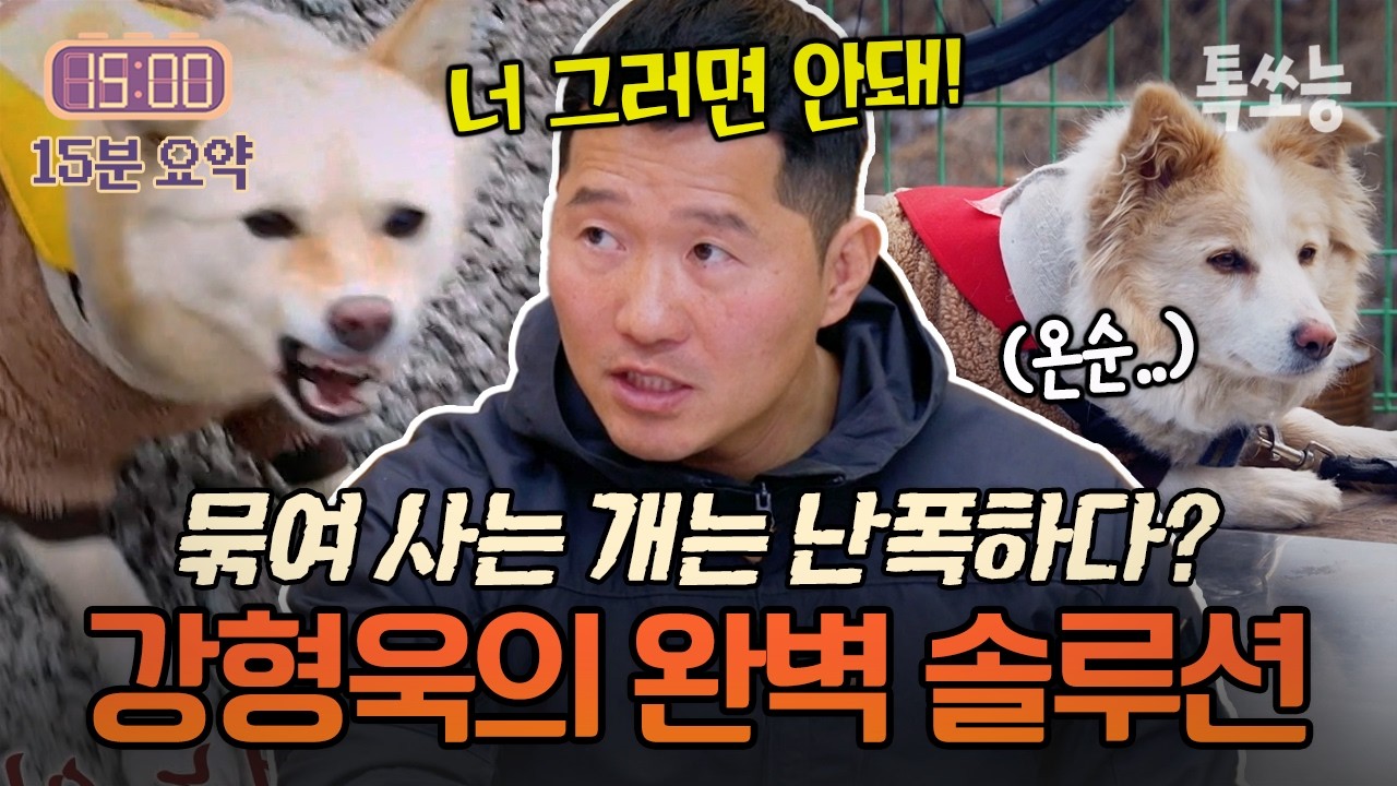 묶여 있어서 난폭하다? 사람만 보면 입질하는 문제견💥 강형욱의 완벽 솔루션으로 진압! | #개와늑대의시간2 7회
