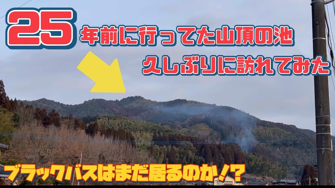 【バス釣り】人類が忘れかけている山頂の野池でブラックバスを狙う