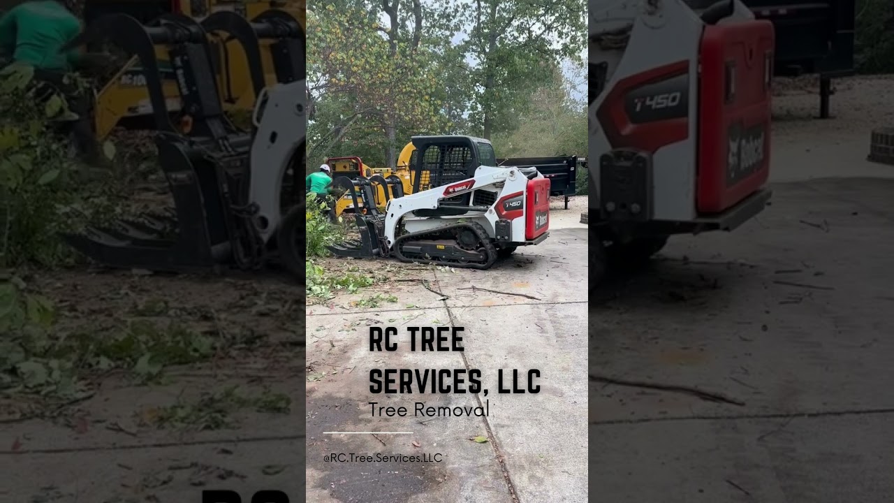 Shorts - Tree Removal and Wood Chipping Work near Huntsville AL