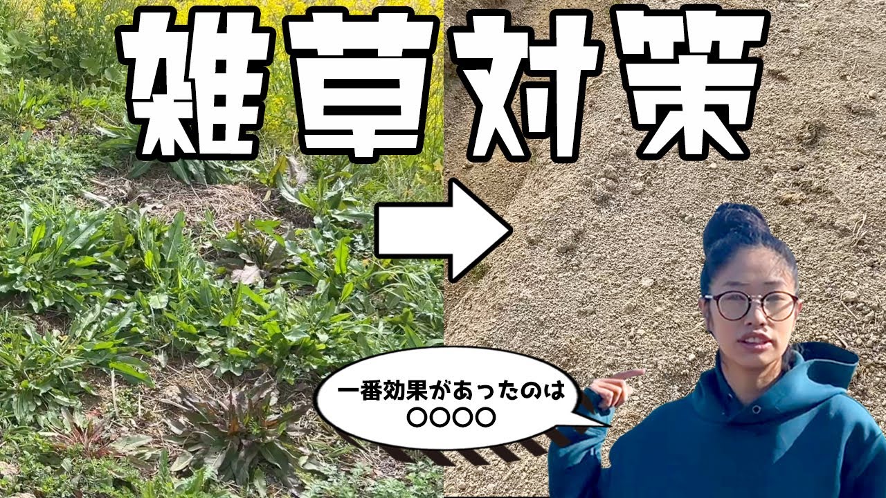 【雑草対策】ってなにしてる？【有機】【緑肥】【防草シート】【家庭菜園】