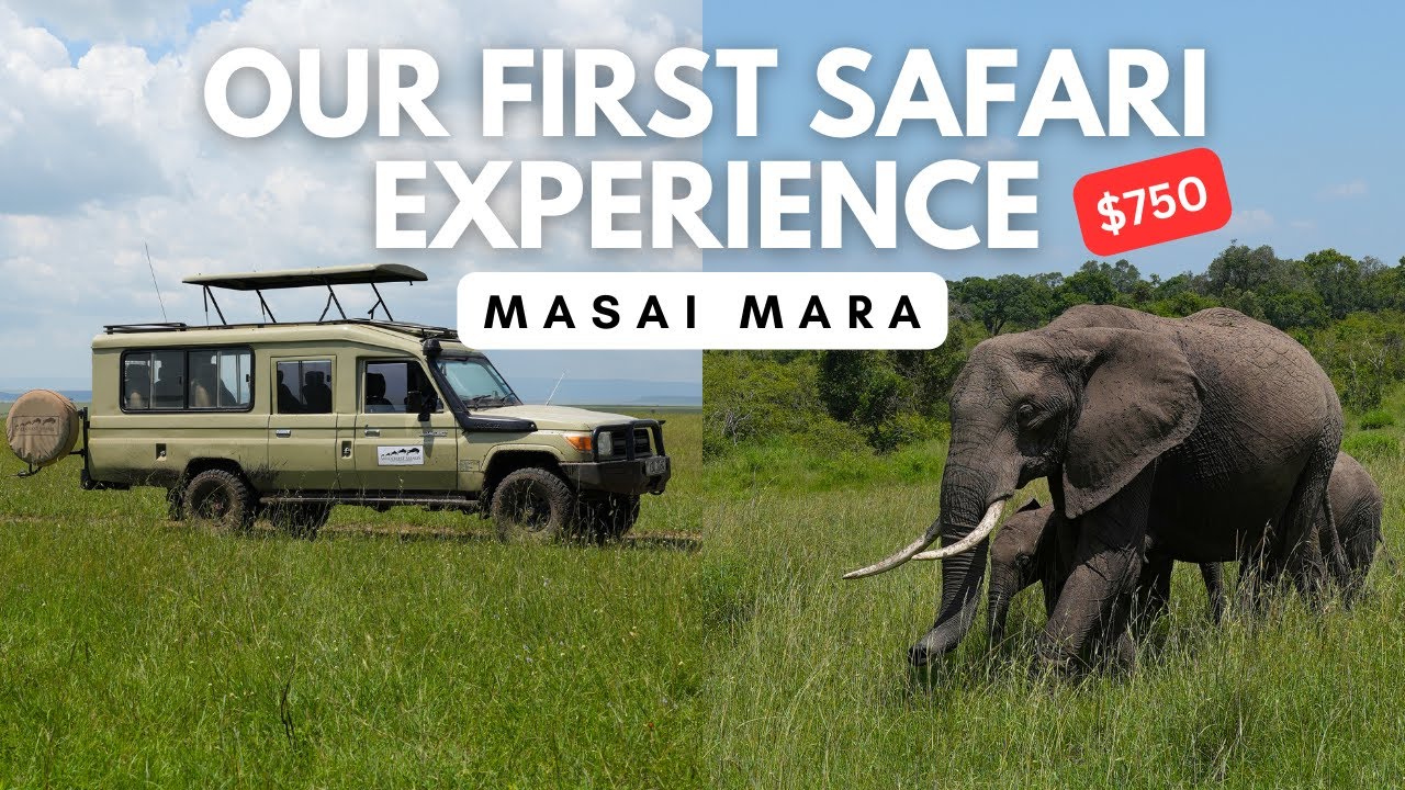 Discover the True Cost of an Unforgettable Masai Mara Safari