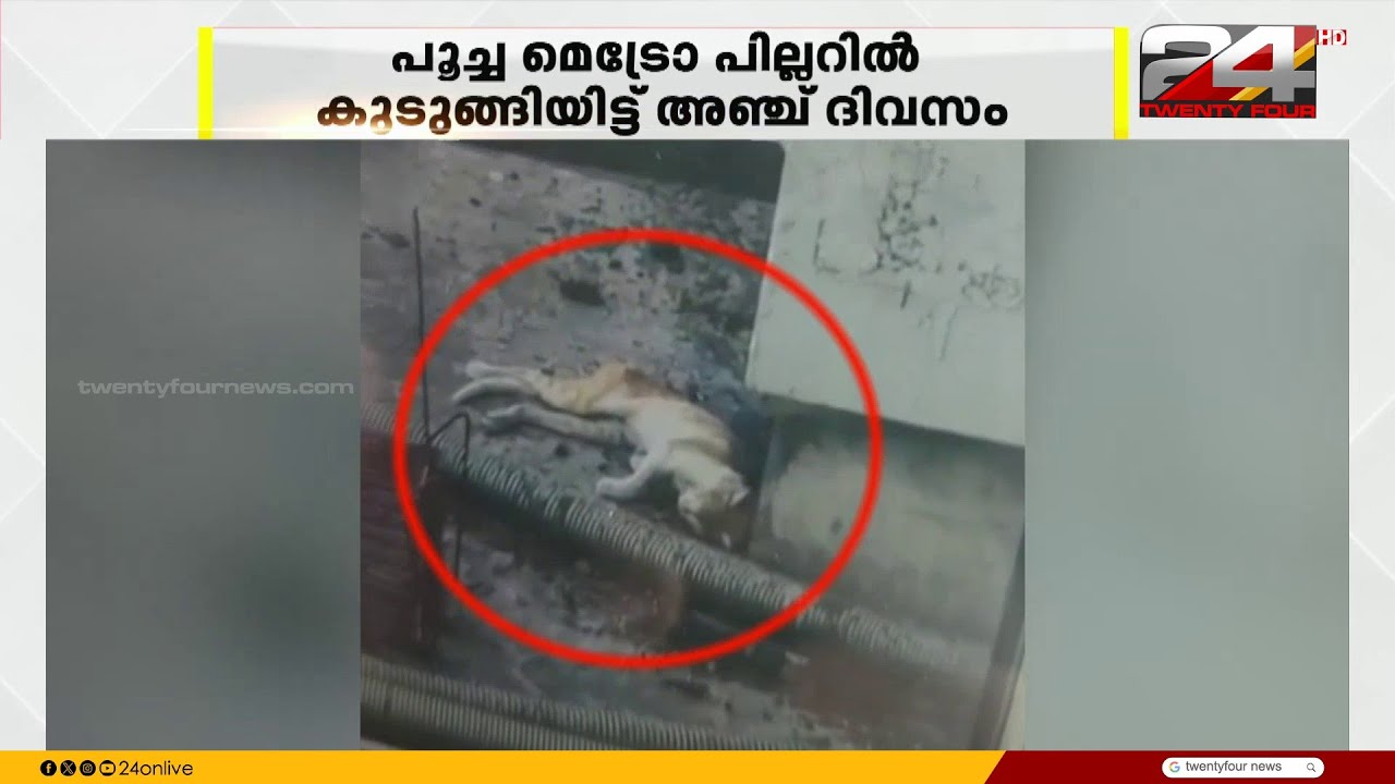 സുഭാഷിനായി രക്ഷാപ്രവർത്തനം തുടരും; പൂച്ച മെട്രോ പില്ലറിൽ കുടുങ്ങിയിട്ട് 5 ദിവസം | Cat Rescue