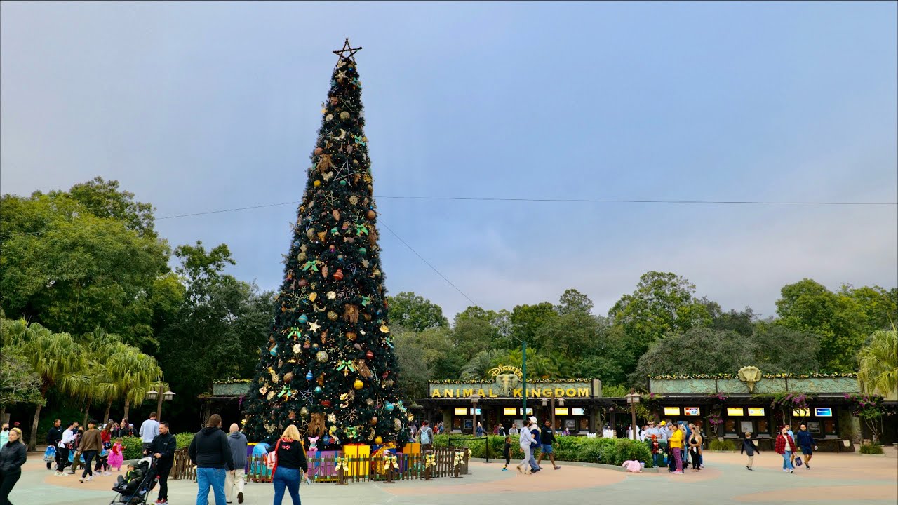 Disney's Animal Kingdom 2021 Christmas/Holiday Decorations in 4K | Walt Disney World Orlando Florida