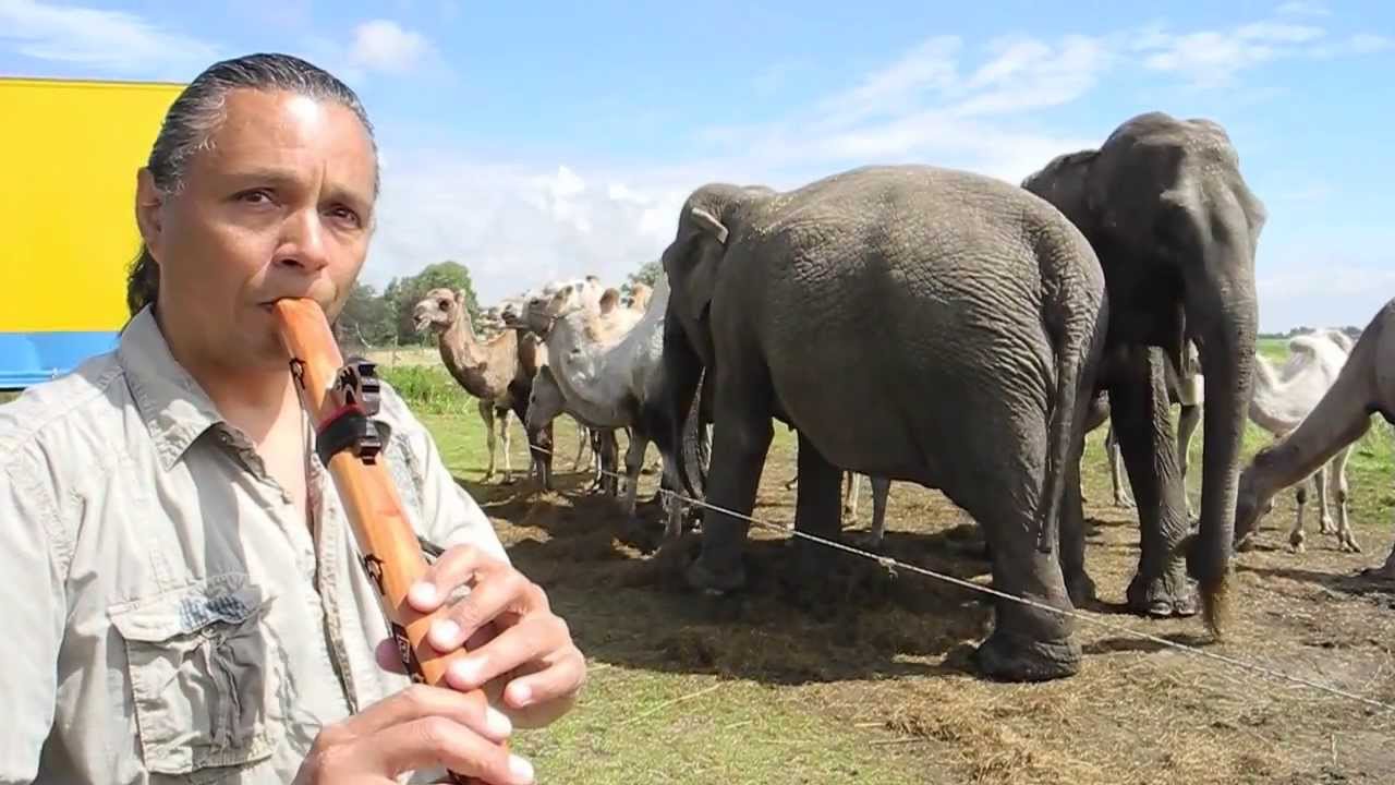 Michael Telapary plays his Flutes for the Elephants