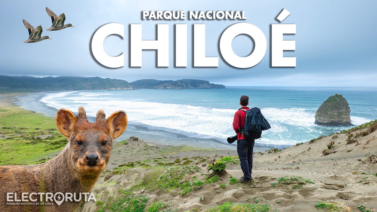Parques de la Isla Grande | Chiloé en 4 días | Parques Nacionales de Chile 27/46