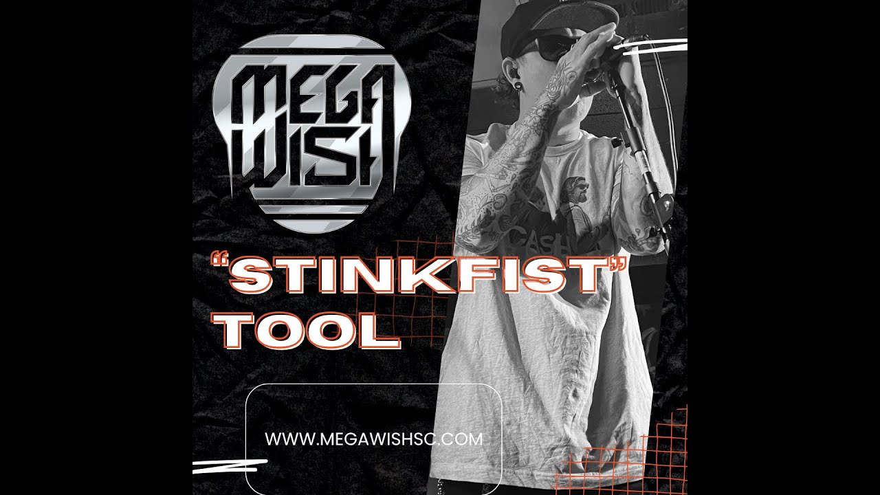 Megawish's EPIC Cover of 