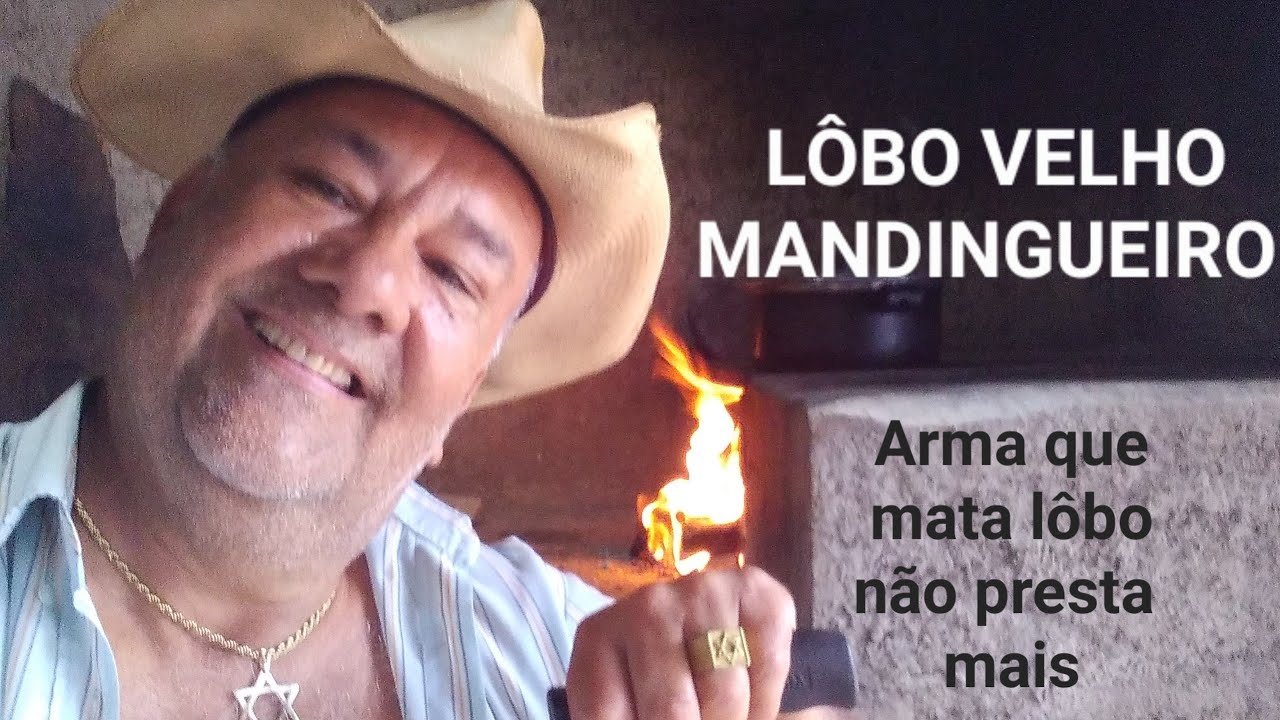 LÔBO É MANDINGUEIRO!! espingarda que mata lôbo nunca mais presta.