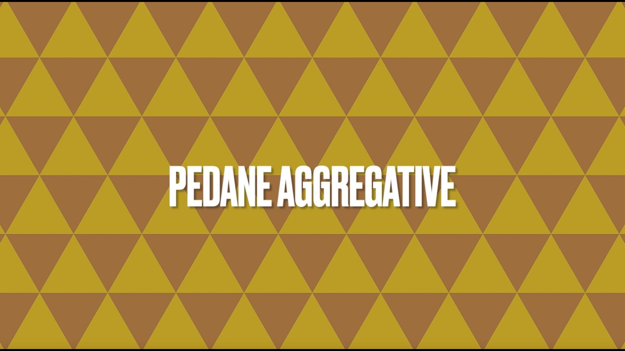 Carnevale di Viareggio 2026 - 🎭 Pedane aggregative e spigolature