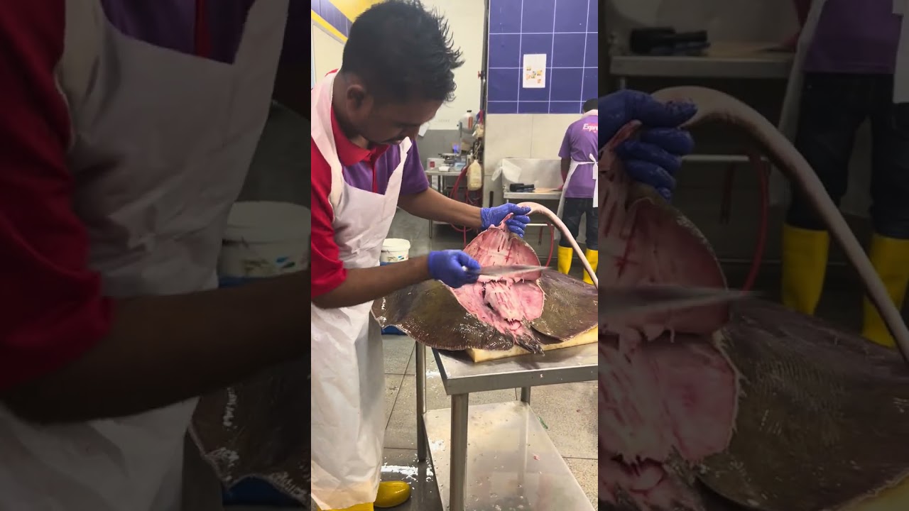 Amazing stingray fish cutting skills pari fish cutting skills 