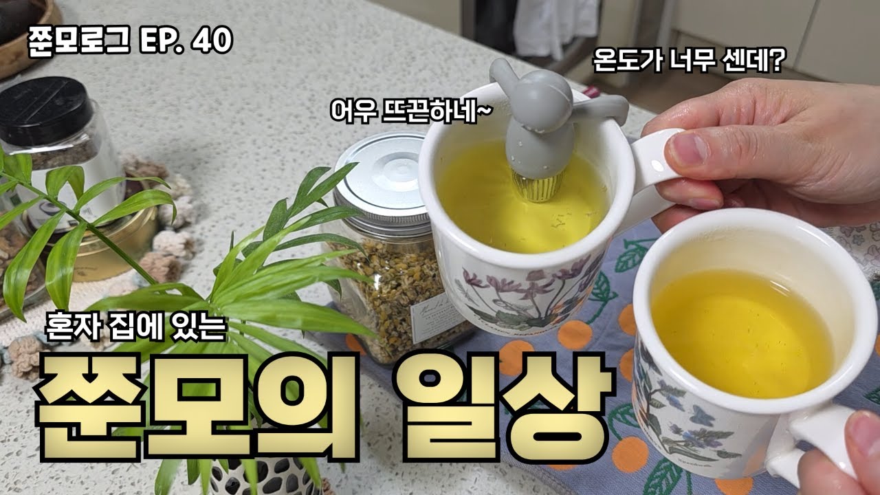 쭌모로그 Ep.40 [ 쭌모의 일상 ] | 청소, 설거지, 외출, 장 보기, 집안 정리 등등