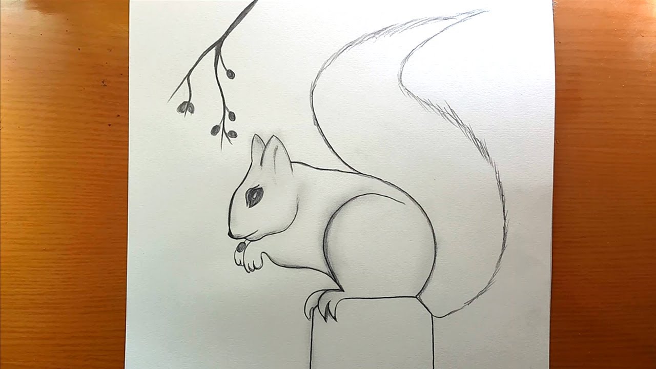 desenho fácil | Como desenhar um esquilo passo a passo desenho de esquilo muito fácil / fofo