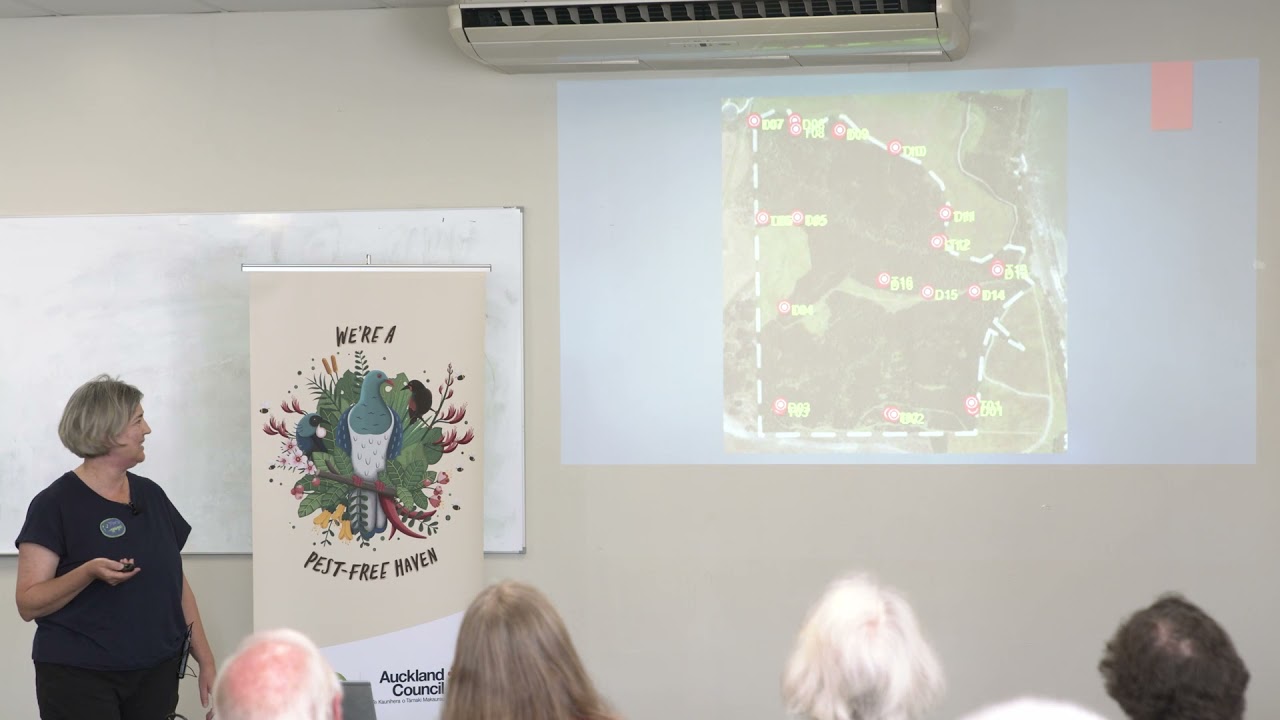 Community-led predator control at Long Bay Regional Park | Pest Animal Management |