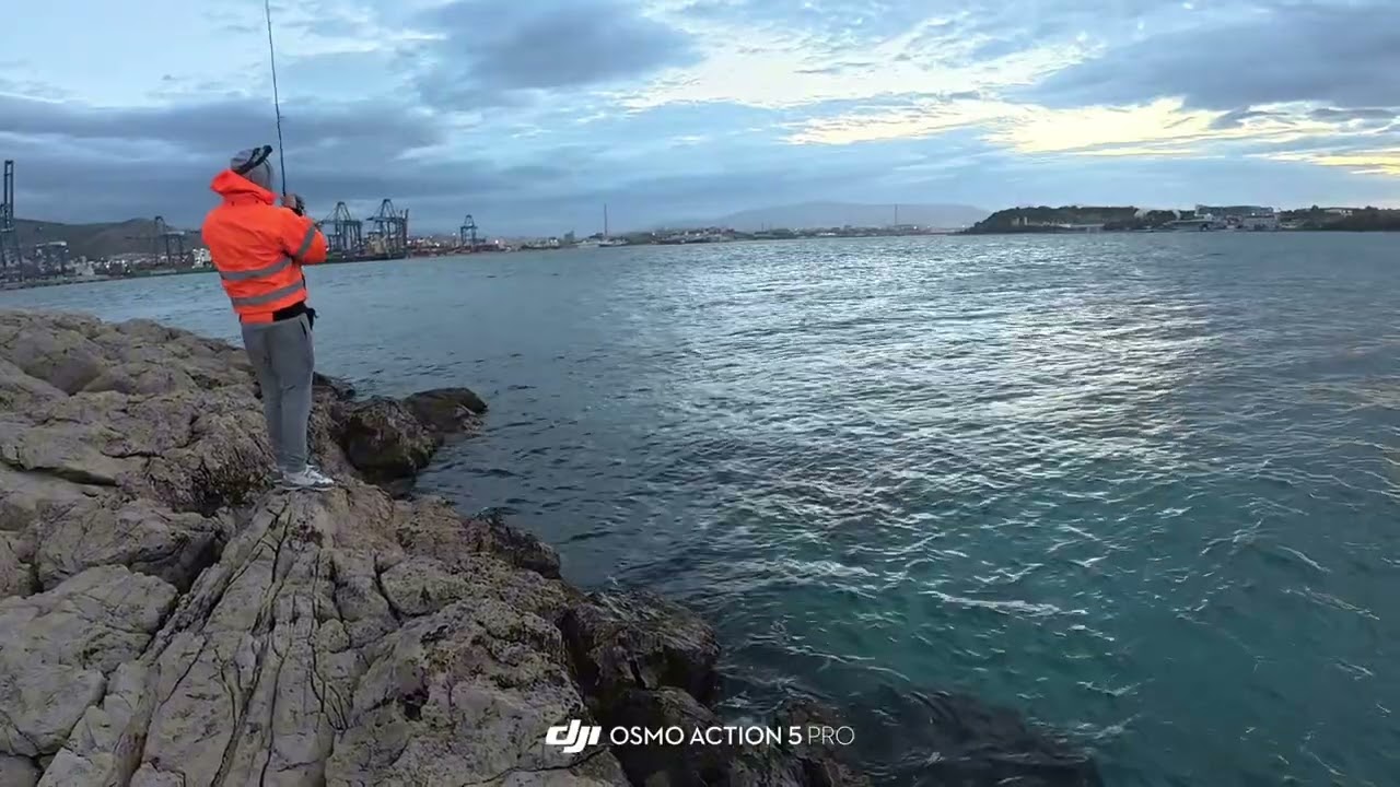 Χειροποίητο τεχνητό Goliath on action!!!!!