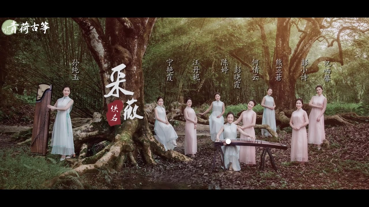 宇宙最美古筝曲《采薇》| 千年经典 仰世而来 直击内心