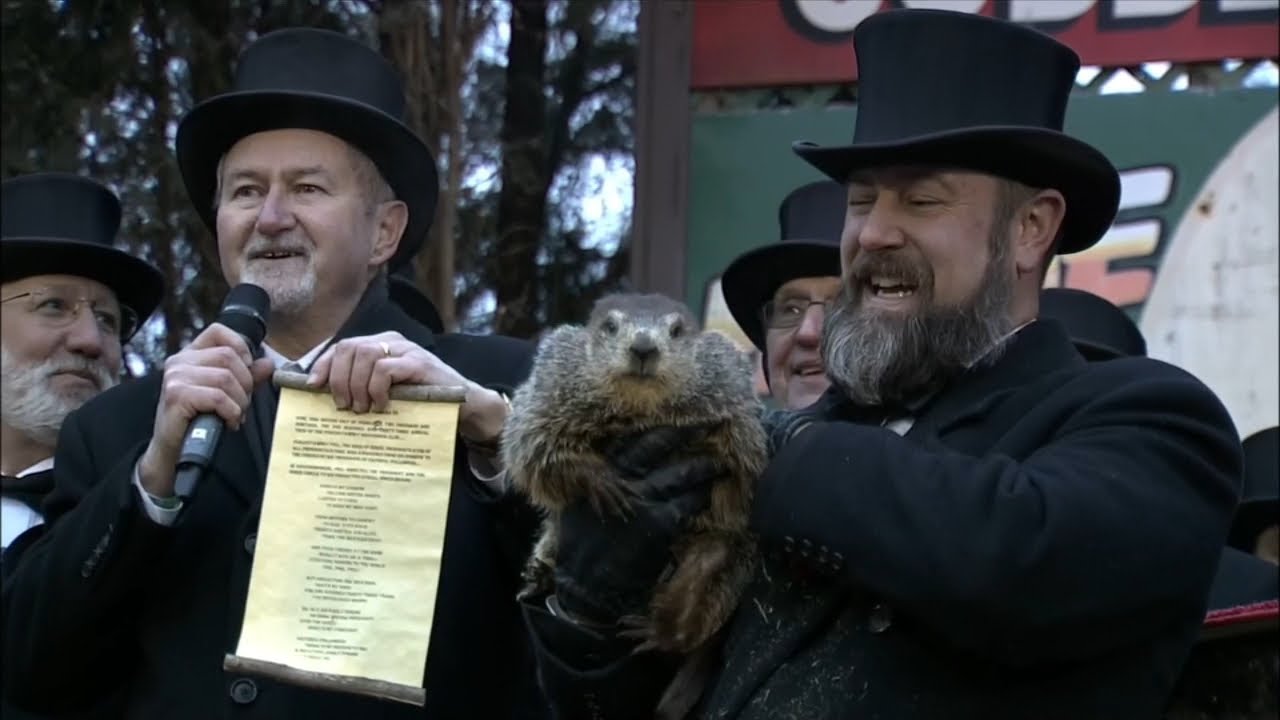 PETA offers giant gold coin to replace Punxsutawney Phil