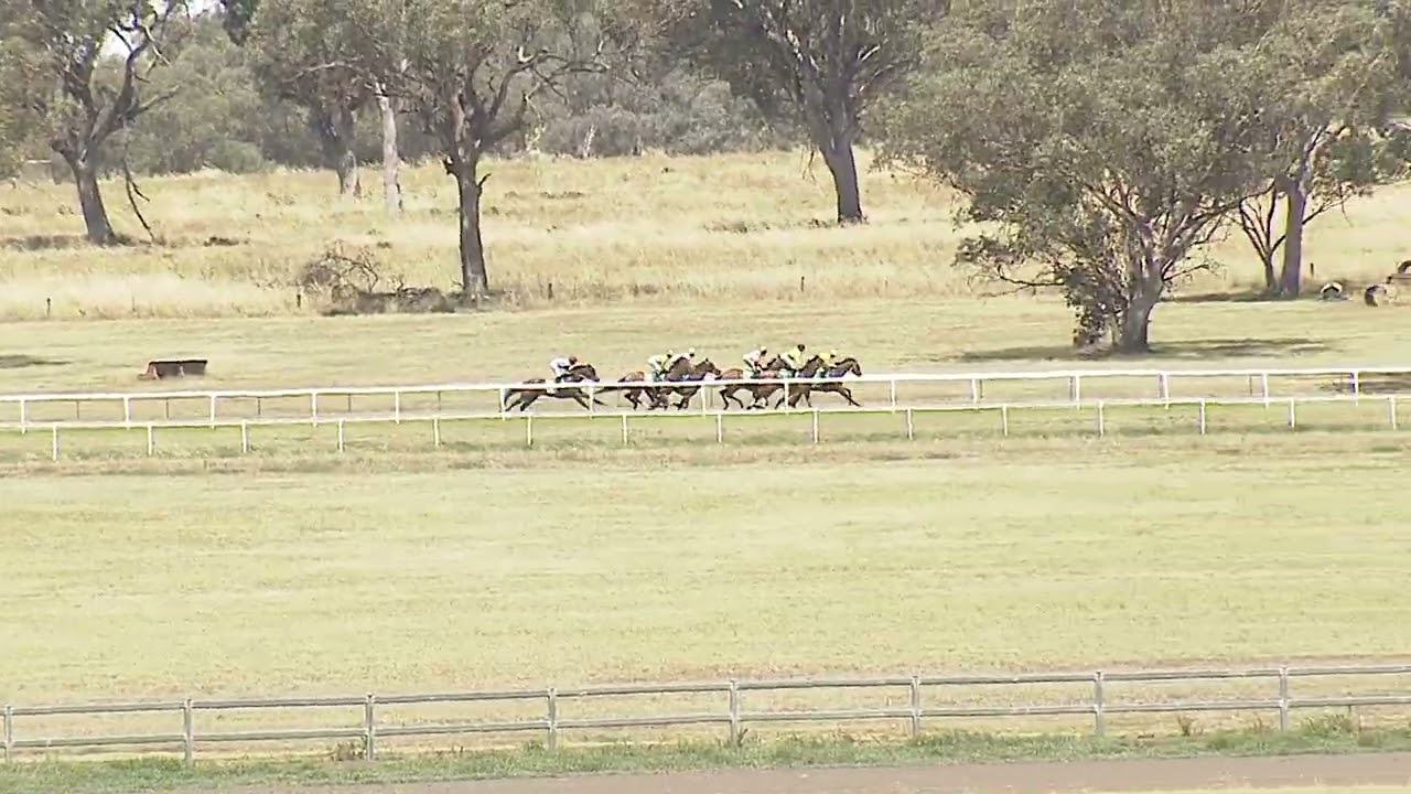 Quirindi 26 12 2025 Race 3