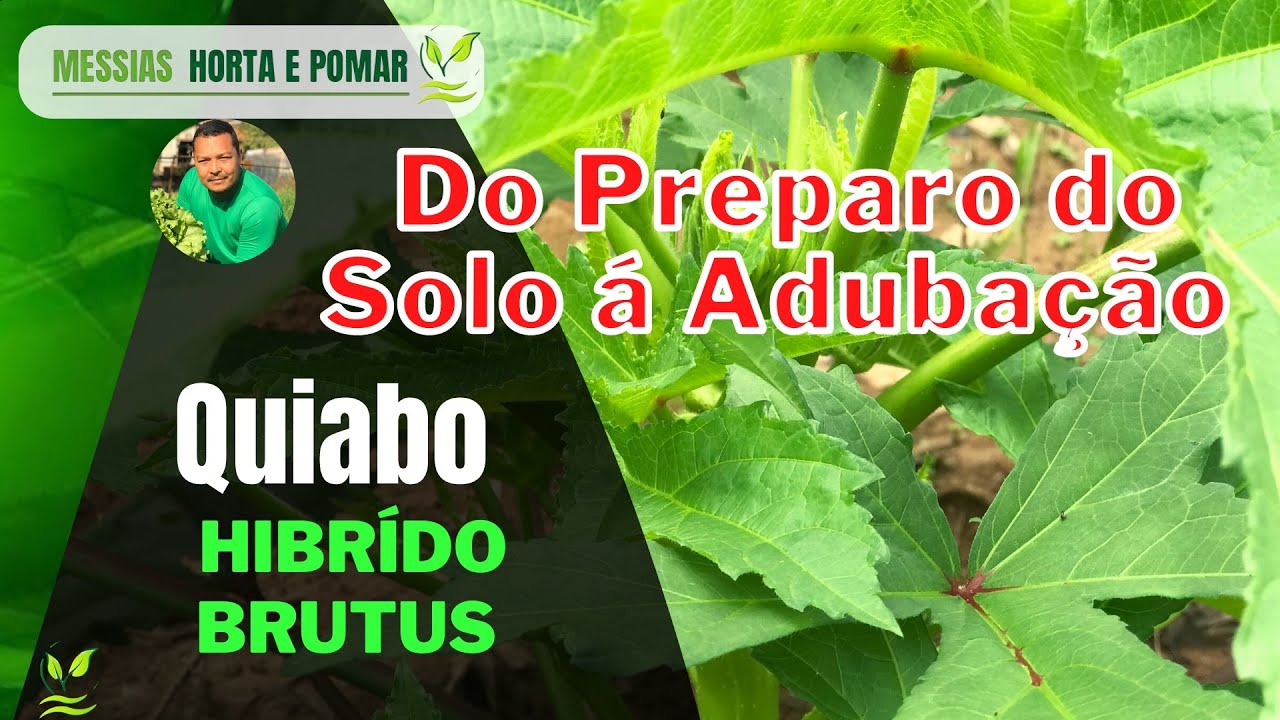 Preparação e Adubação do solo para plantio de Quiabo