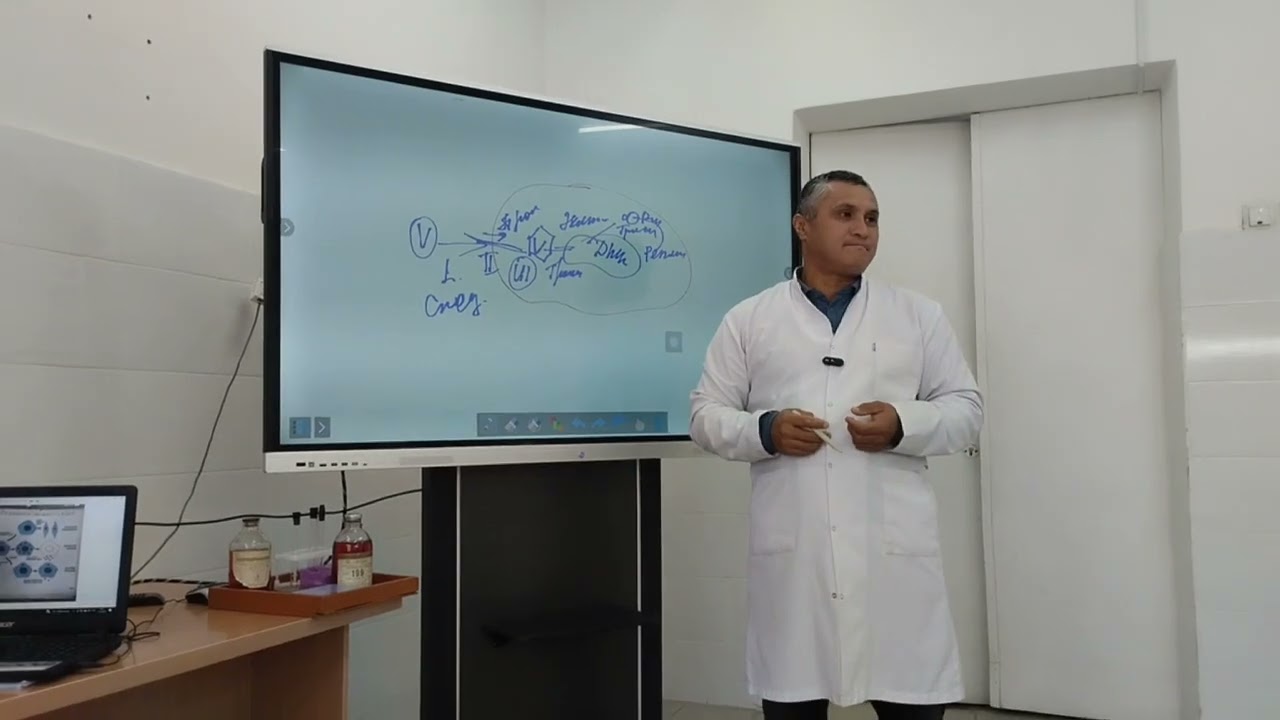 Вирусы