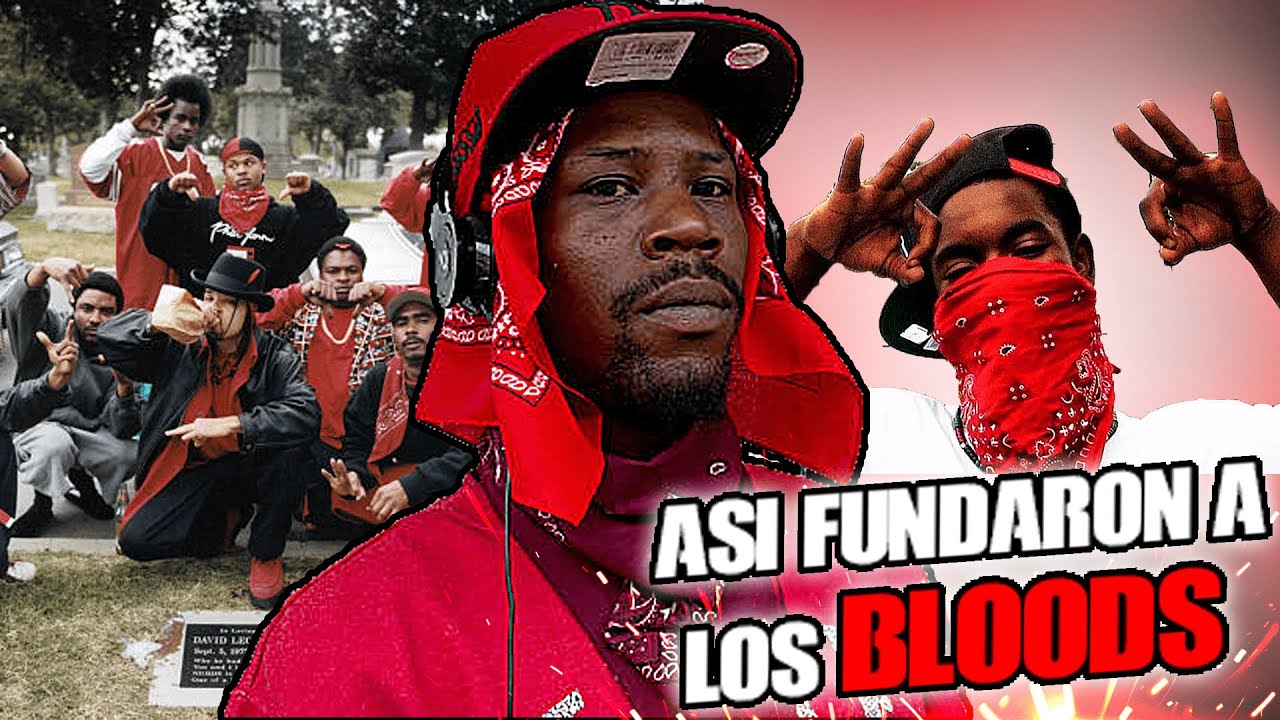 BLOODS, Asi se Fundo Una De las P4NDILLAS mas PEL1GR0SAS de  Estados Unidos...