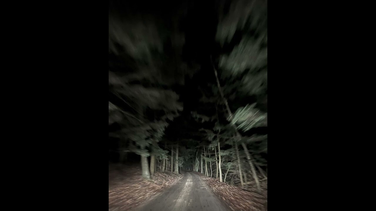 [FREE] Alternative x Darkwave Type Beat 
