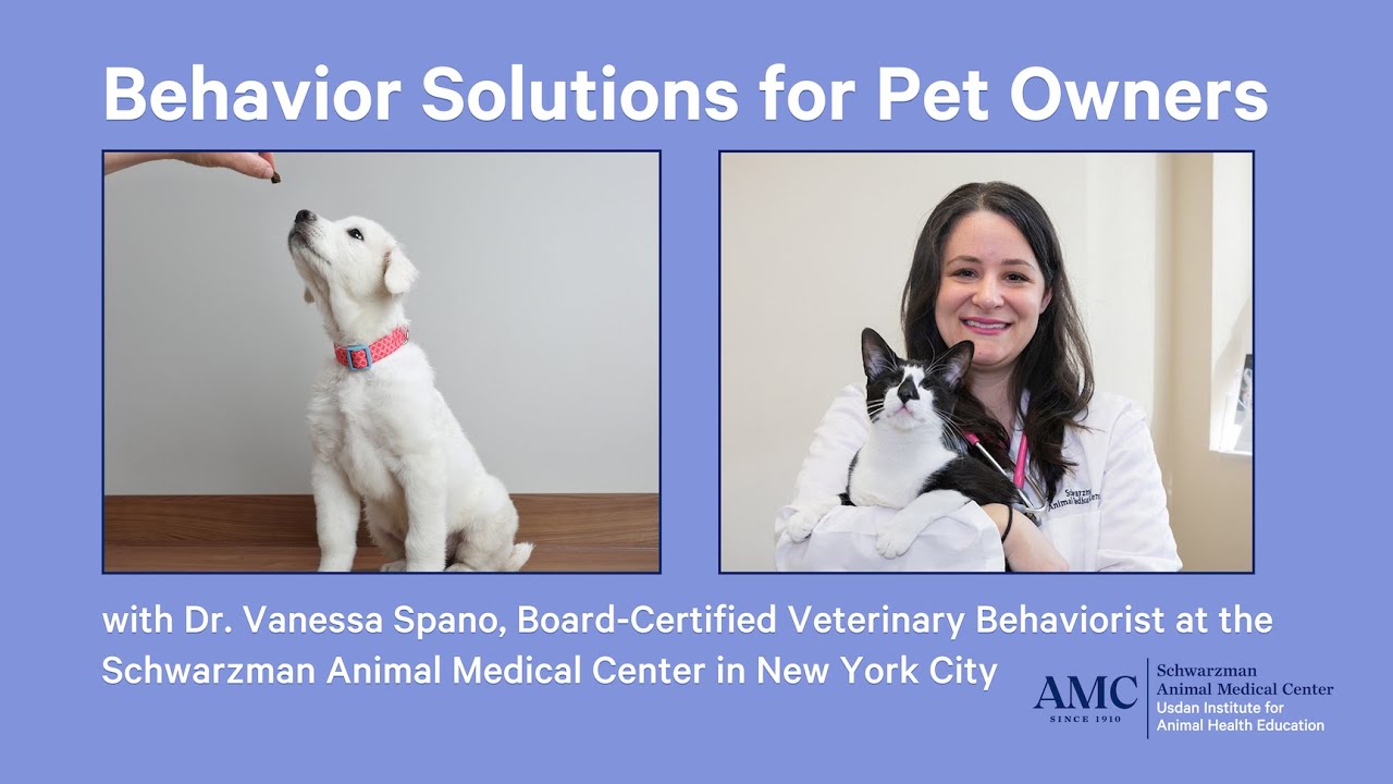 Behavior Solutions for Pet Owners with Dr. Vanessa Spano