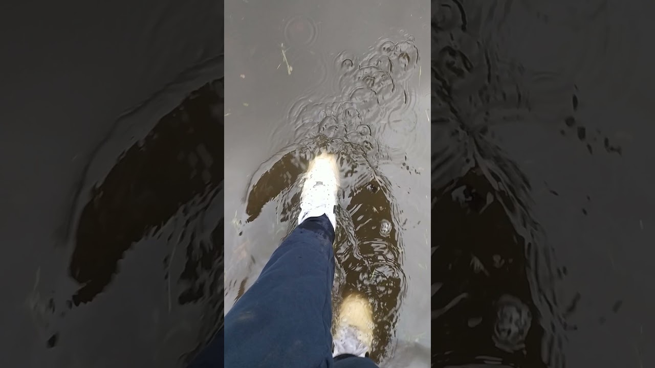 Air Force 1 wet part 3