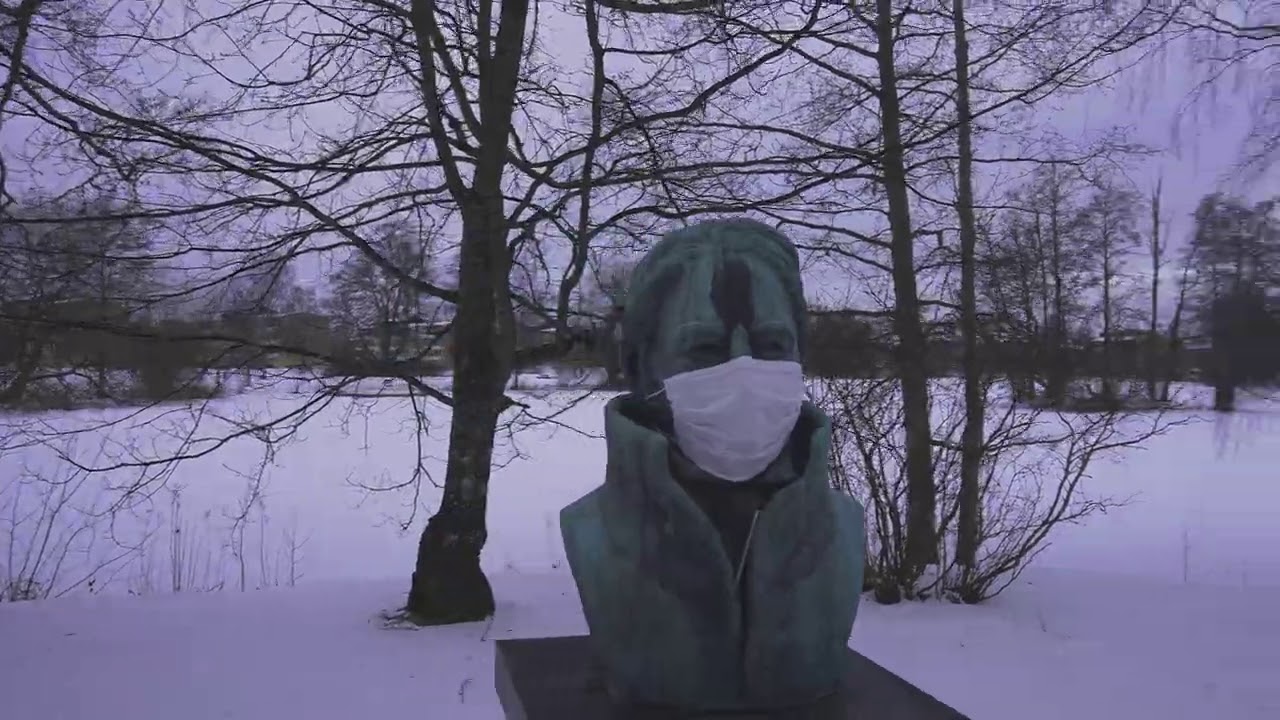 Sweden, winter walk in Sala