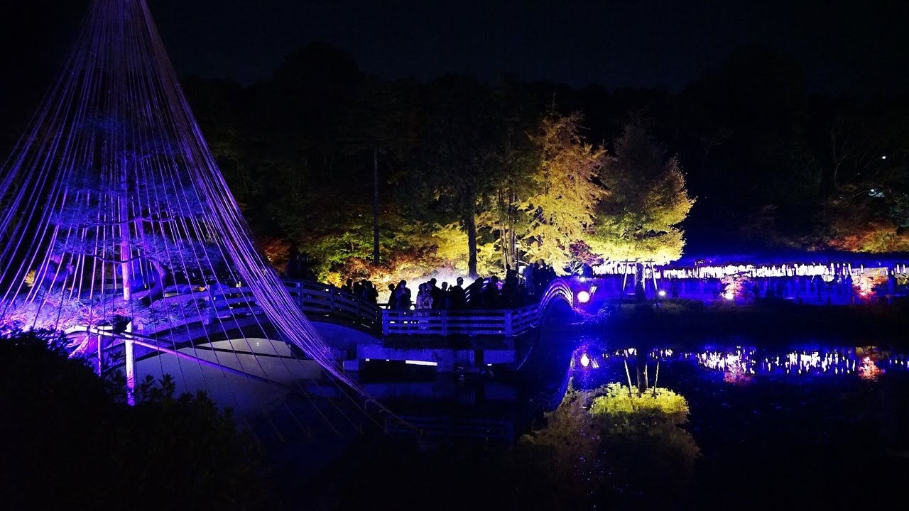 2025 町田　薬師池公園　紅葉　ライトアップ