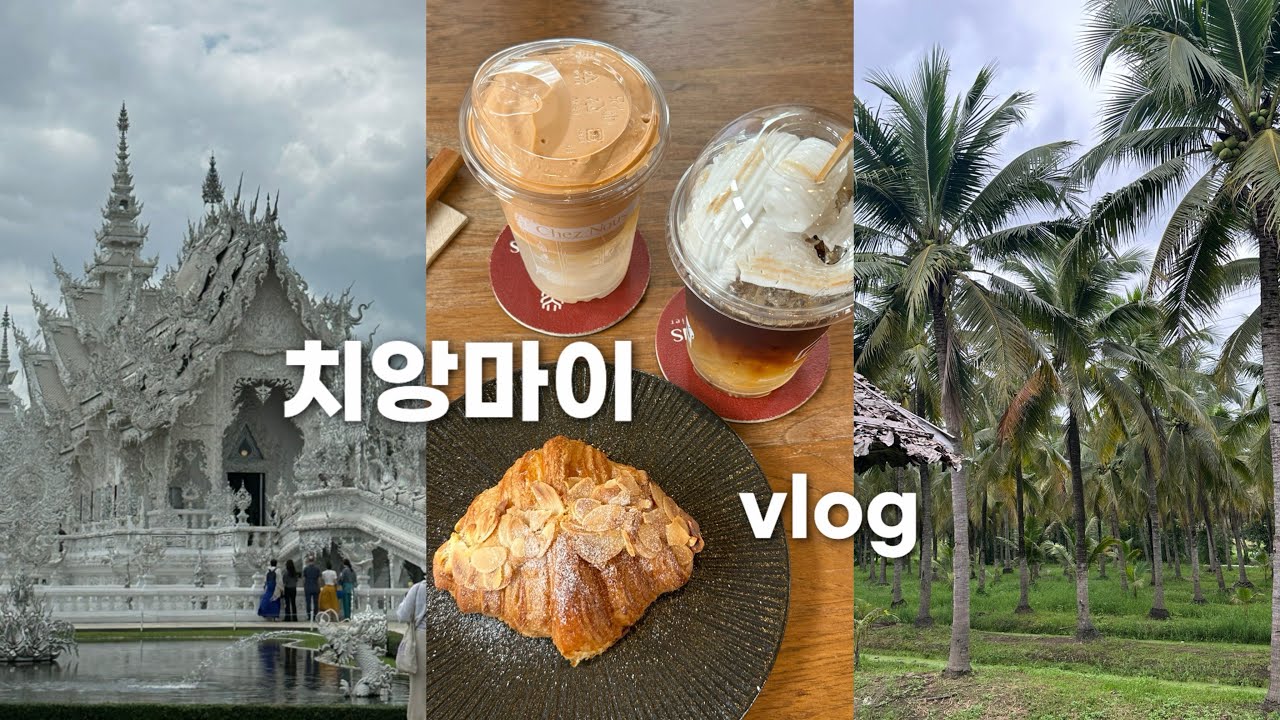 치앙마이에서 먹고 덥고 또 먹는 브이로그ㅣ템플투어, 로컬맛집, 코코넛마켓, 야시장ㅣ태국여행 VLOG