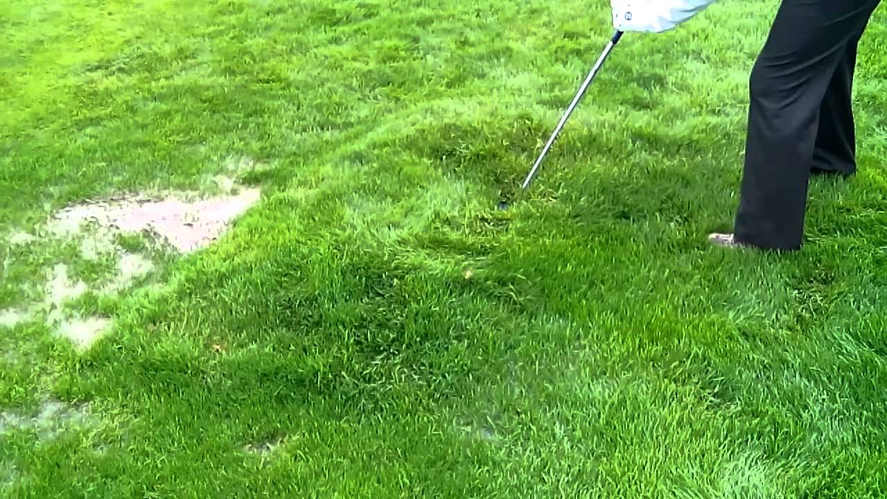 Grass blister