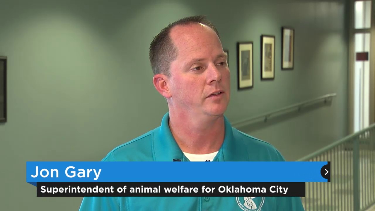Dog update from OKC animal welfare