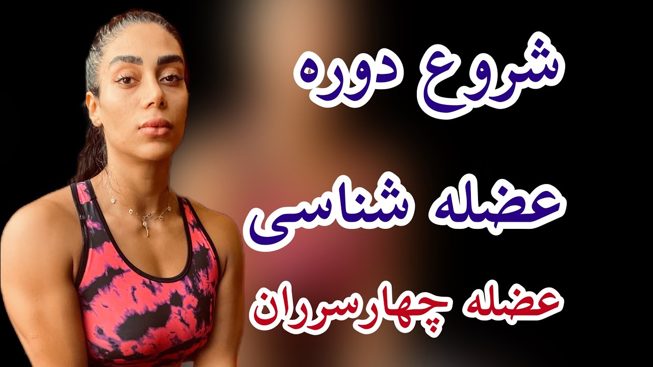 عضله چهارسر و عملکرد این عضله سابسکرایپ فراموش نشه