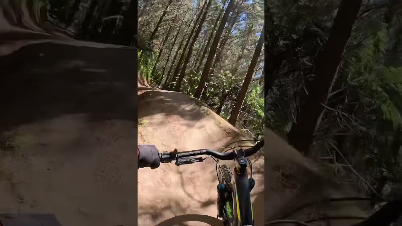 #mtbnz #mtblife #bornformtb #mountainbiking #mtbd #fun #mountainbike #downhill #flow