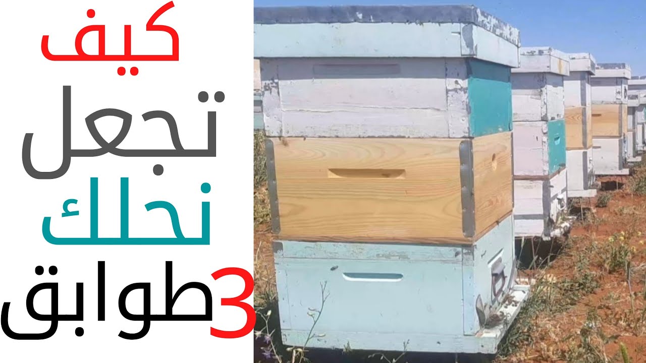 كيف تجعل نحلك يصل الى اكثر من ( 3 )طوابق او ادوار......