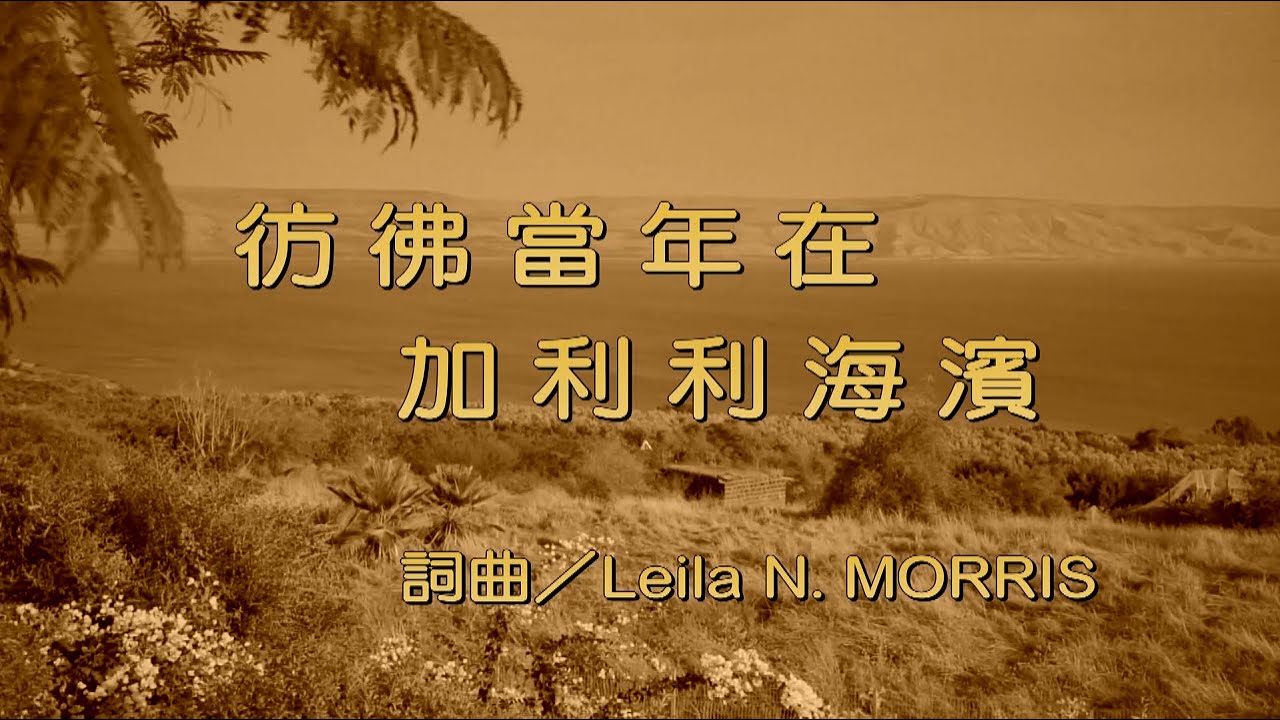 彷彿當年在加利利海濱