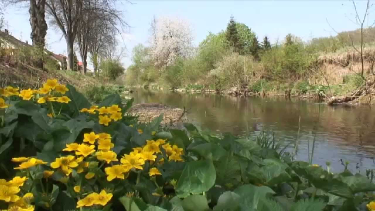 Kocher Jagst Radweg: Tour Natur