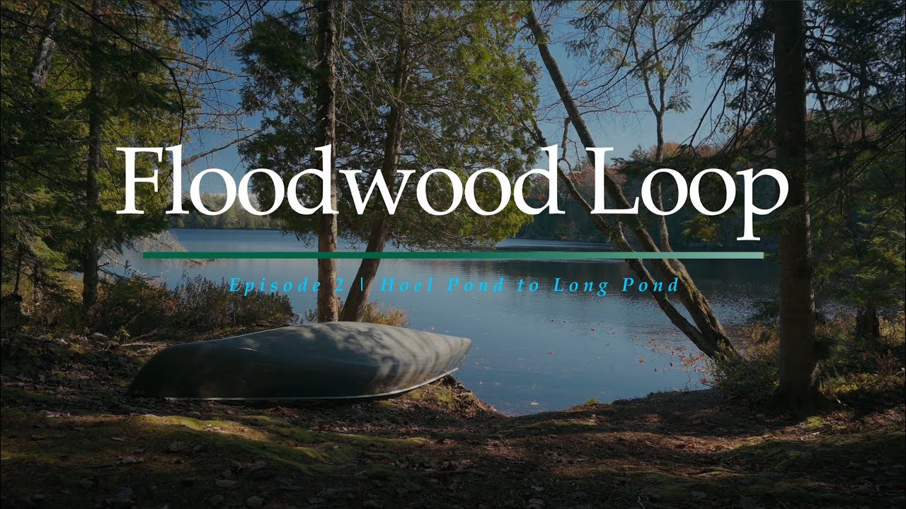 4 Day Solo Canoe Trip with Amazing Fall Colors | Floodwood Loop Ep.2
