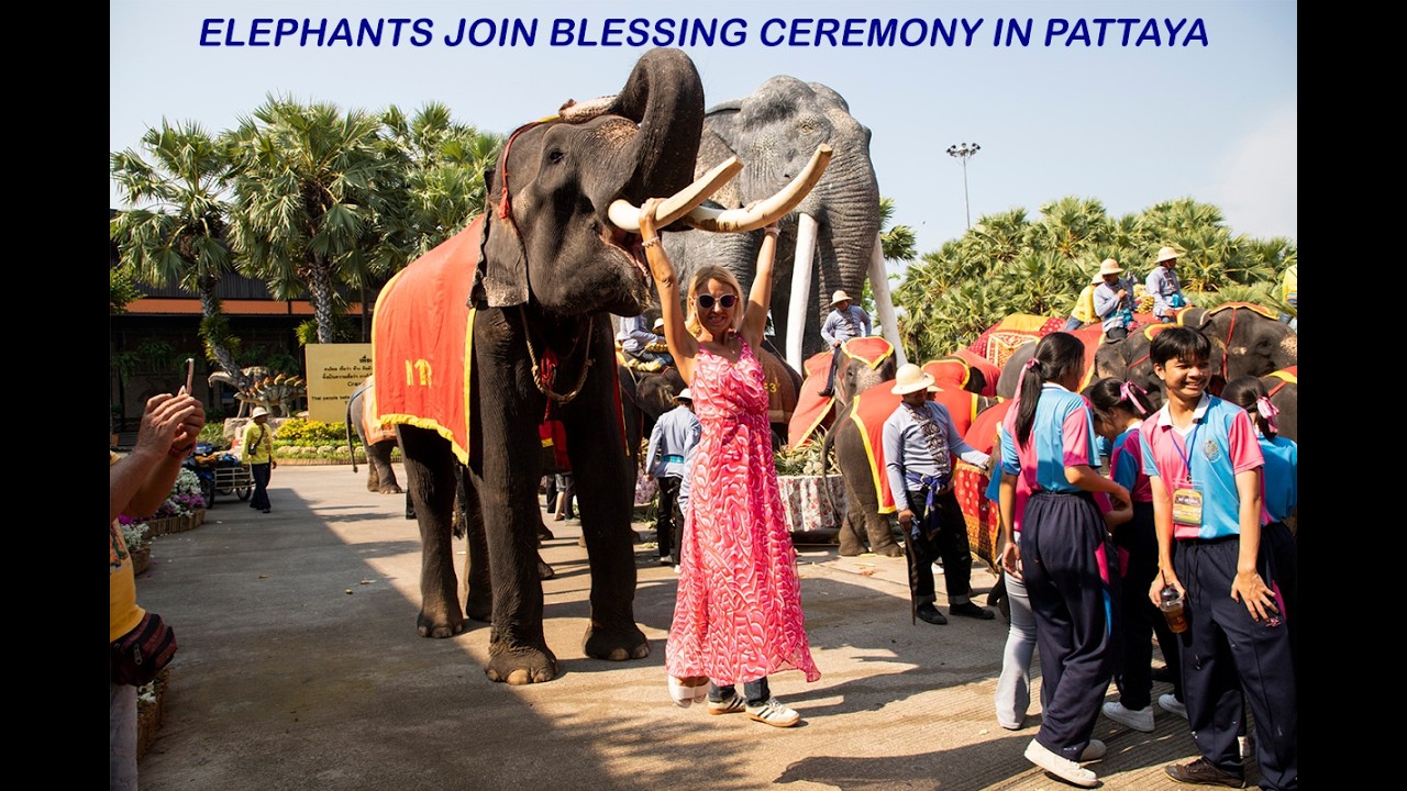 Elephants join blessing ceremony in Pattaya