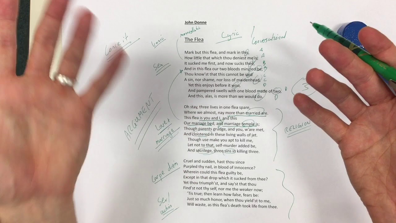 The Flea - Metaphysical poetry 1