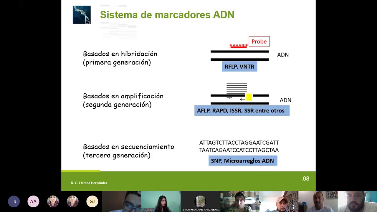 Marcadores de Microsatélites