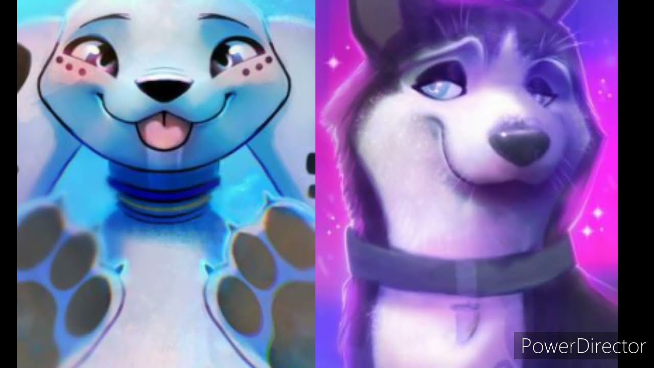 101 Dalmatian Street ~ Dolly x Hansel ~ New Light by John Mayer