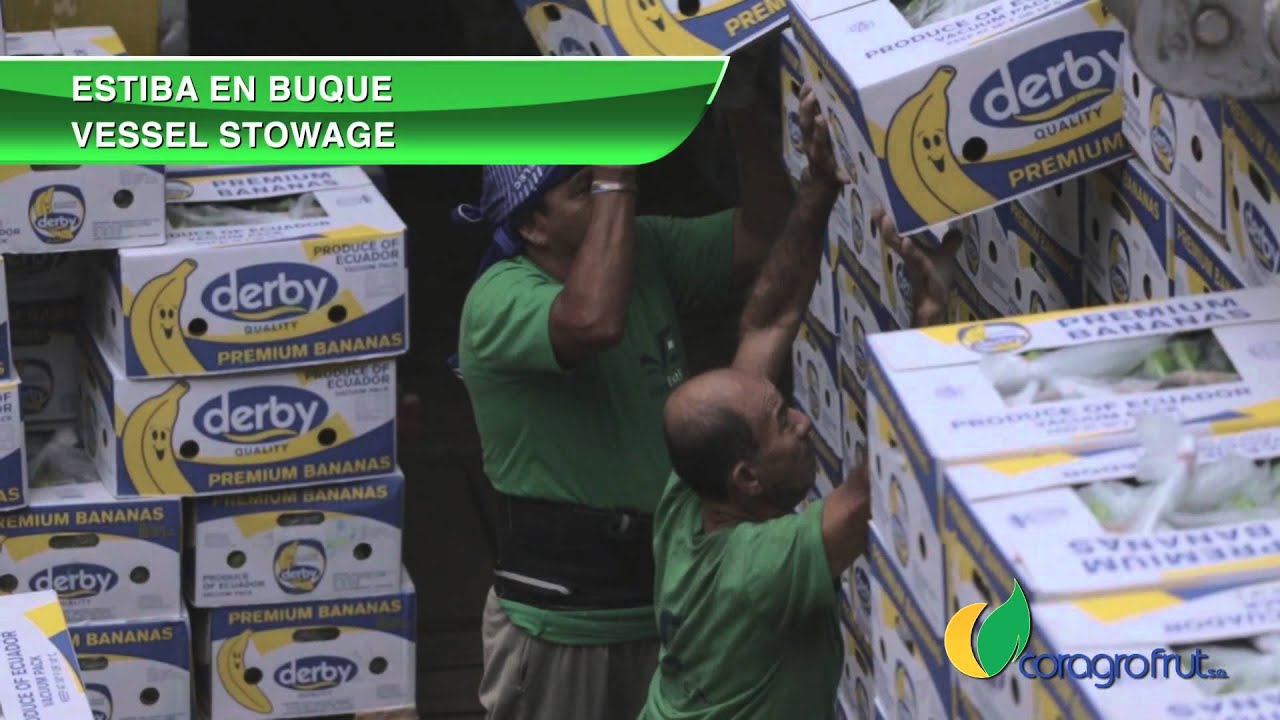 DERBY ®  | SLOBANA ® |  PAMELA ® bananas  | Logistics Process HD VIDEO