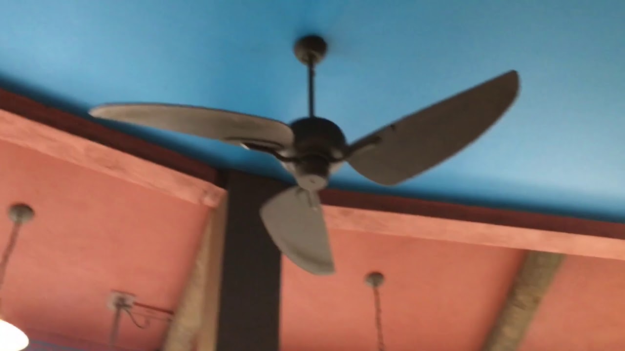 Ceiling Fans around Busch Gardens (Tampa, FL)