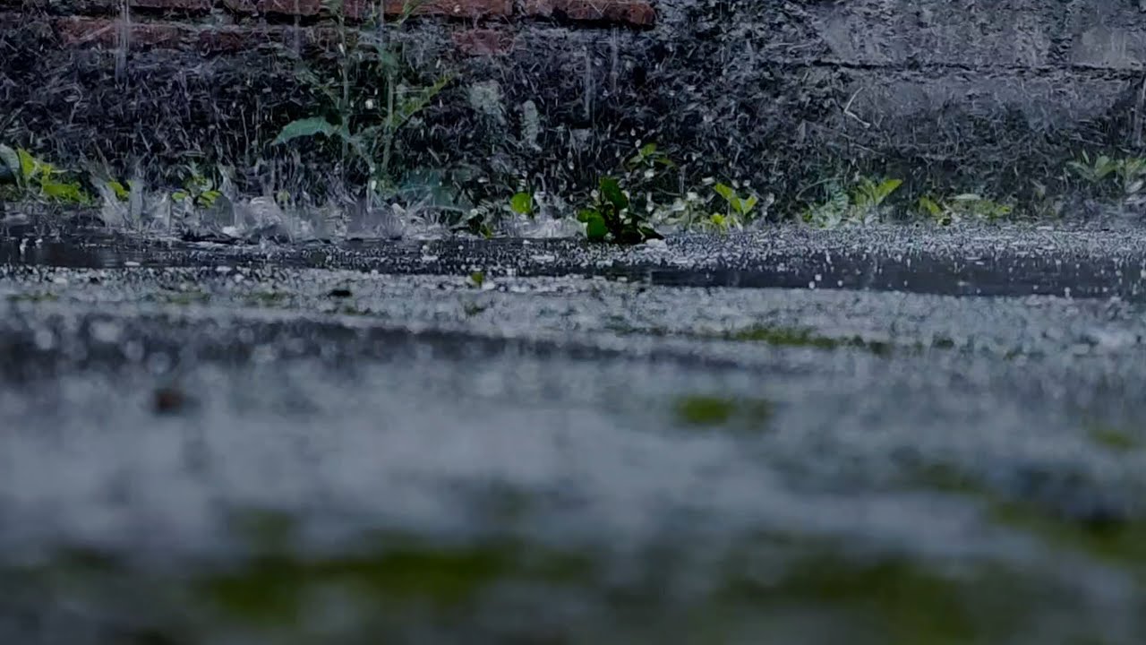 Too Much Noise in Your Head? 🌧️ Rain for Quiet Minds | No Ads Live